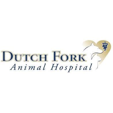 Dutch fork animal hospital. Things To Know About Dutch fork animal hospital. 