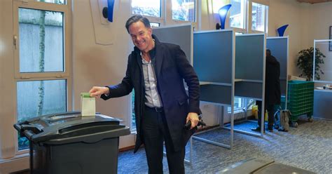 Dutch go to polls in midterm provincial elections