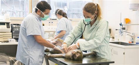 Dutch vet. Virtual veterinarian care platform Dutch has raised $20 million in Series A funding led by Forerunner Ventures and Eclipse Ventures. The San Francisco-based company’s latest round comes seven months after its market launch and brings its total funding raised to $25 million. Dutch utilizes licensed veterinarians and provides a … 