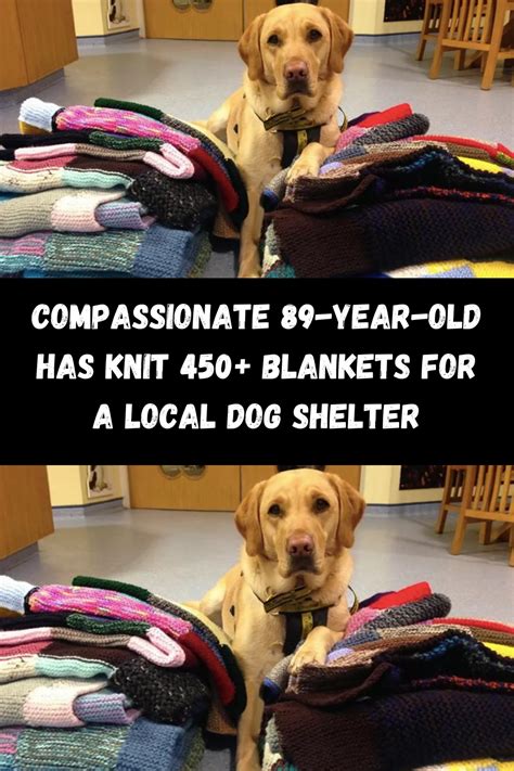 Dutchess County SPCA seeking towel, sheet, blanket donations
