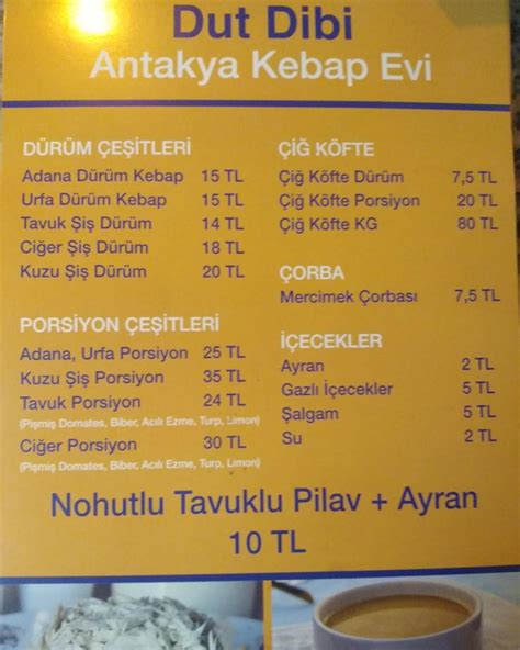 Dutdibi Halı ve Koltuk Yıkama