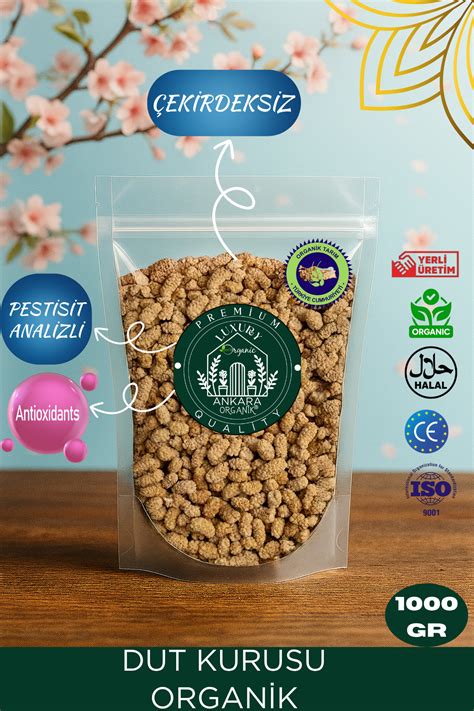 Dutkurusu Halı ve Koltuk Yıkama