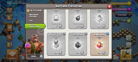 Duvarli Halı ve Koltuk Yıkama