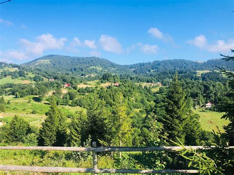 Duzkoy Halı ve Koltuk Yıkama