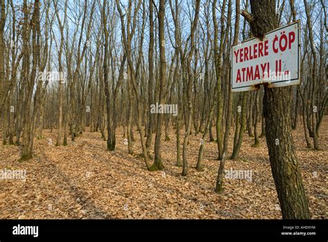 Duzmese Halı ve Koltuk Yıkama