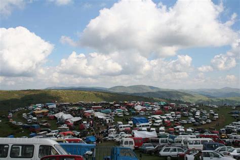 Duzoba Halı ve Koltuk Yıkama