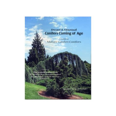 Dwarf and unusual conifers coming of age a guide to mature garden conifers. - Financial and managerial accounting 12th edition solution manual chapter 7.