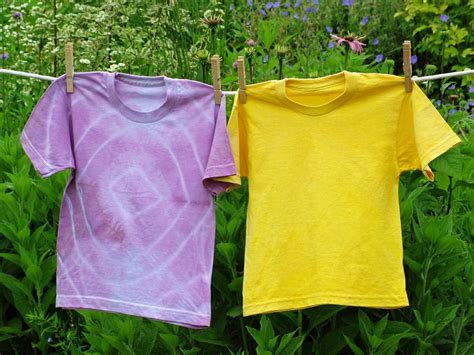 Dye a Shirt With Veggies and Fruits HGTV