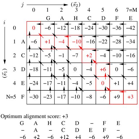 Dynamic Programming Sequence Alignment Thedatanotes