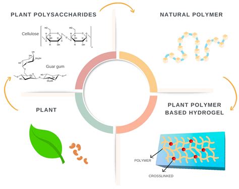 Dynamic plant-derived polysaccharide-based hydrogels.