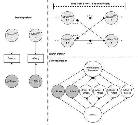 Dynamic structural equation modeling of the