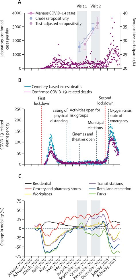 Dynamics of seroconversion of anti-SARS-CoV-2 IgG antibodies in …