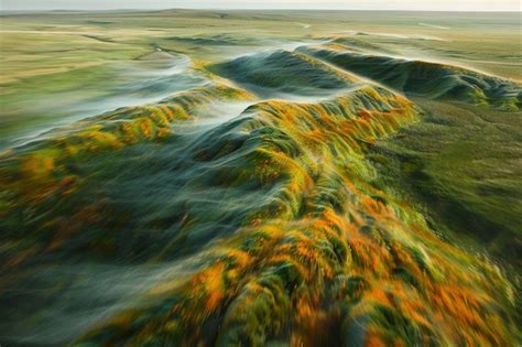 Dynamisch landschap