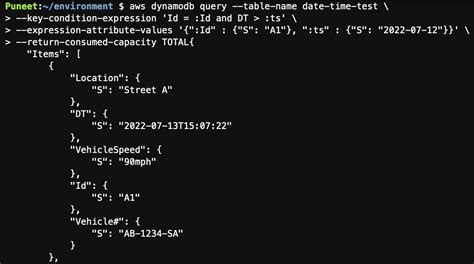 Dynamodb json.  datetime adds a timestamp when a todo is created.  This package can be ...