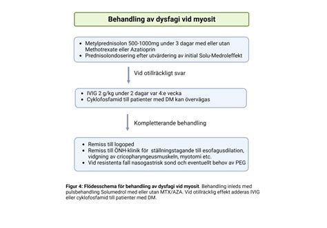 Dysfagi behandling