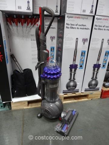 Dyson Cinetic Big Ball Animal Plus - CostcoCouple