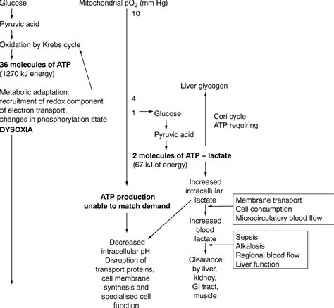 Dysoxia and lactate - BMJ