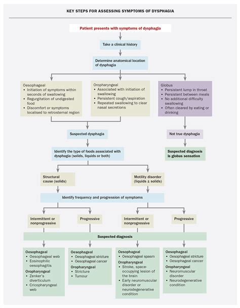 Dysphagia – an updated guide to investigation Medicine Today