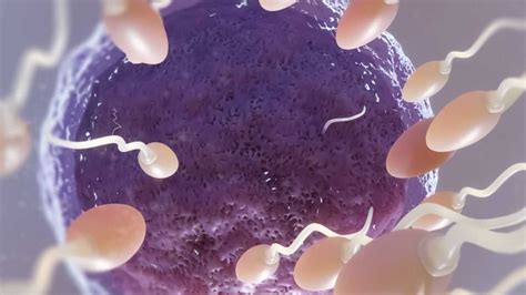 Eşi Azospermi Olanlar Dunyaivf.