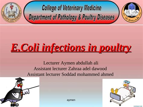 E coli infection in poultry wikipedia. .  <a href=https://fasttrade.testingapplications.xyz...