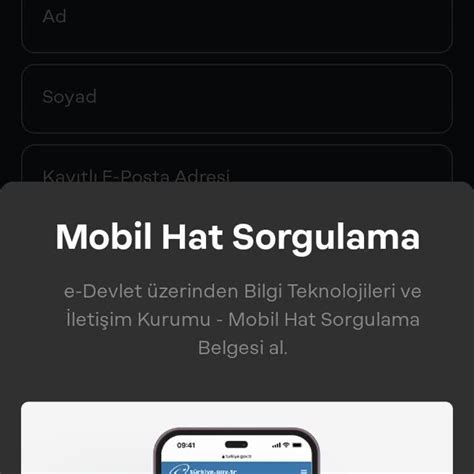 E devlet papara