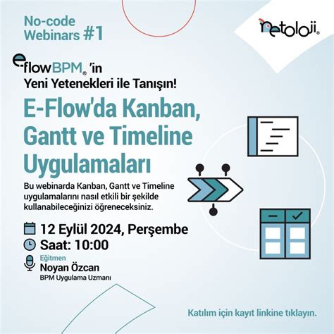 E-Flow DMS Netoloji.