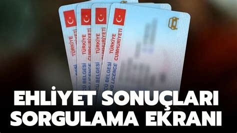 E-devlet ehliyet sorgulama.