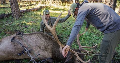 E-scouting for archery elk with GOHUNT Maps