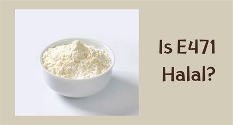 E627 halal.  Full analysis with scholarly context. ) The code indicates an in...