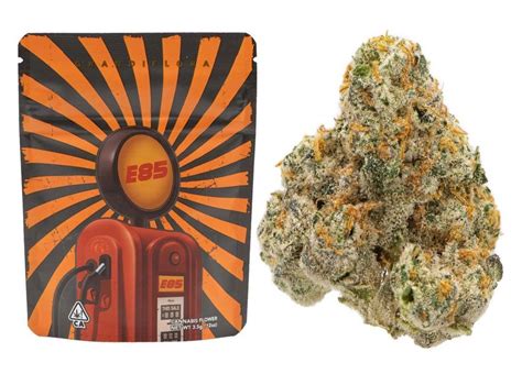 E85 strain. Stock photo. Products. E85. Everyday. Smalls. Description. Cannabis flower is rich in trichomes, which are the resin glands containing cannabinoids and terpenes, that … 