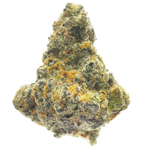 E85 is a hybrid weed strain made from a genetic cross between Super Lemon Cherry Gelato and Runtz. This strain is a rare and exotic creation that combines the best of both parents.. 