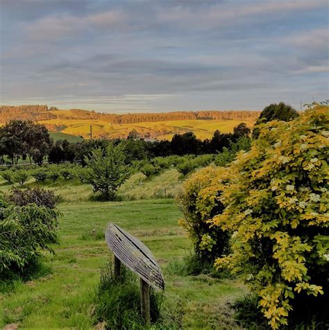 EAGEL PARK VILLA - Cherry top farmstay