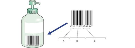 codini.rgarabwor.edu.pl. 