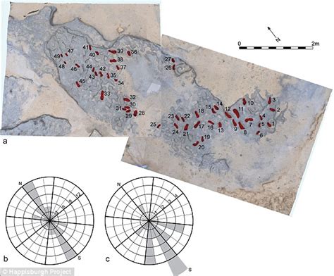 Earliest footprints outside Africa discovered in Norfolk - wintechmobiles.com