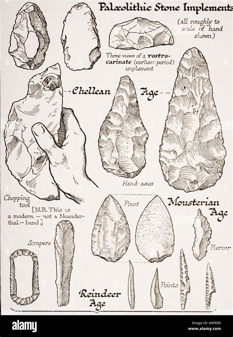 Early Stone Age Tools - The Smithsonian's Human … - wintechmobiles.com