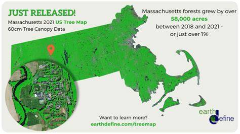 EarthDefine | Tree Map - High-Resolution Tree Cover Data - raincitystudios.com