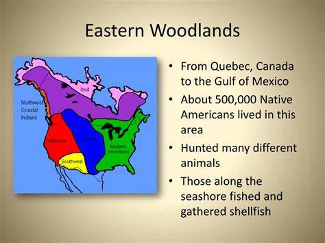 Eastern woodlands of the United States - raincitystudios.com
