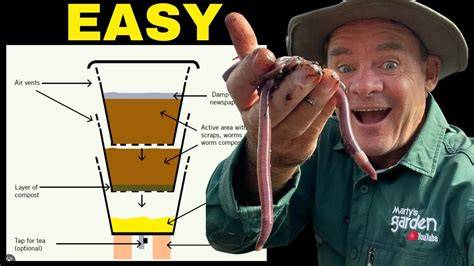 EASY BEGINNER Productive Worm Farm "STEP BY STEP"! - raincitystudios.com