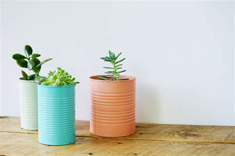 Easy DIY Craft Tin Can Planters - Homedit - raincitystudios.com