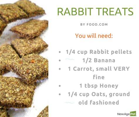 Easy DIY Rabbit Treat Recipes for Beginners - Rabbit … - raincitystudios.com