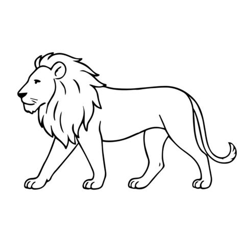 Easy drawings - muktibox.com