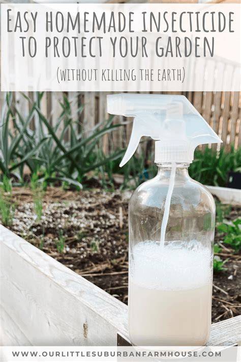 Easy homemade insecticide to protect your garden (without killing the ... - raincitystudios.com