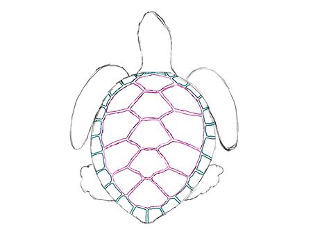 EASY TURTLE SHELL DESIGN - speedypaper.x10.mx