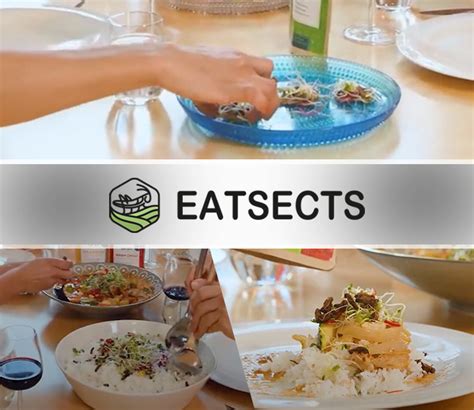 EATSECTS – Food based on natural resorces and insects.