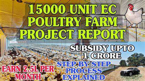 EC broiler poultry farm project report 15000 - raincitystudios.com