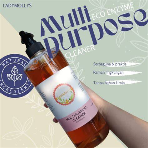 ECO ENZYME MULTIPURPOSE CLEANER 100 - raincitystudios.com