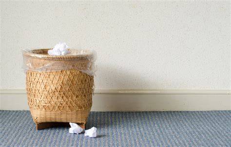 Eco Family Guide: Efficient Waste Reduction - Big Man - raincitystudios.com