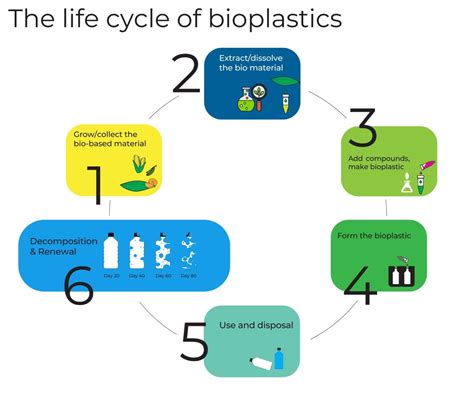 Eco-Friendly Alternatives: The Process Of Making Plant-Based Plastics - wintechmobiles.com