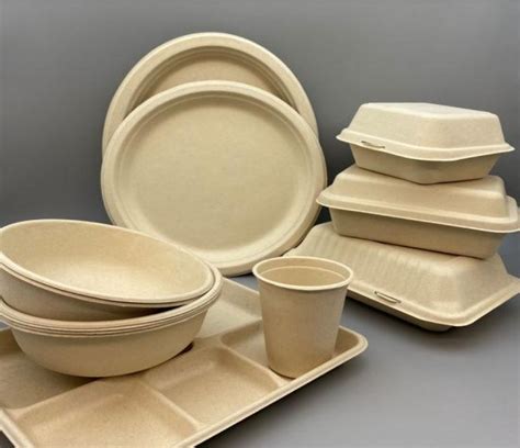 Eco-friendly Disposable Biodegradable Tableware … - raincitystudios.com