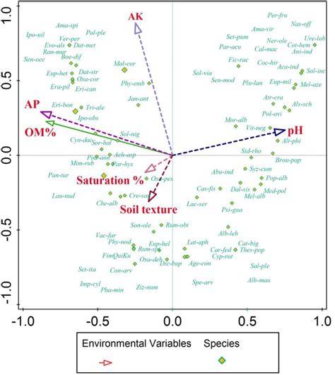 Ecological analysis of plant community structure and soil effects in ... - raincitystudios.com
